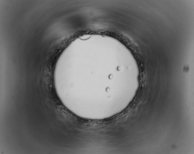 X0000101180917200807250936