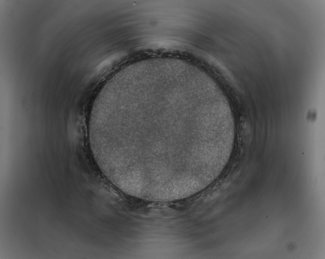 X0000101180918200807250936