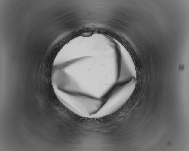 X0000101180919200807250936