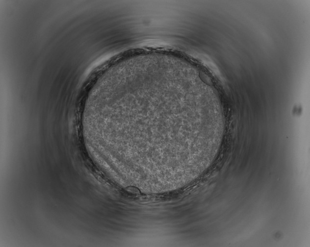 X0000101180920200807250936