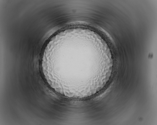 X0000101180921200807250936