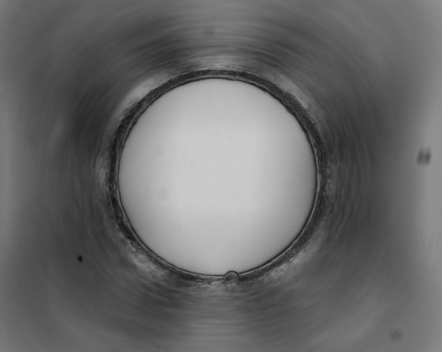 X0000101180922200807250936