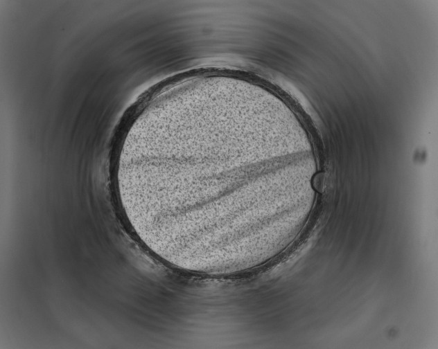 X0000101180923200807250936