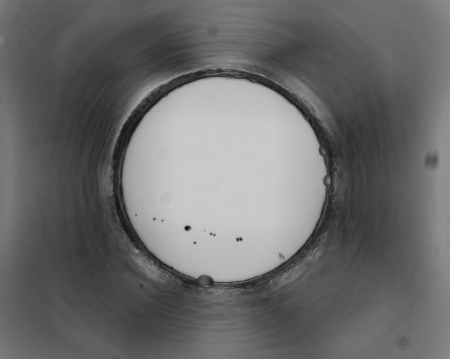 X0000101180924200807250936