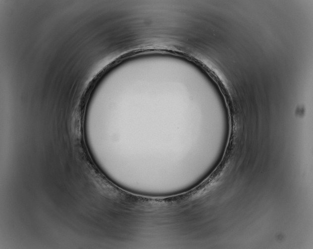 X0000101180925200807250936