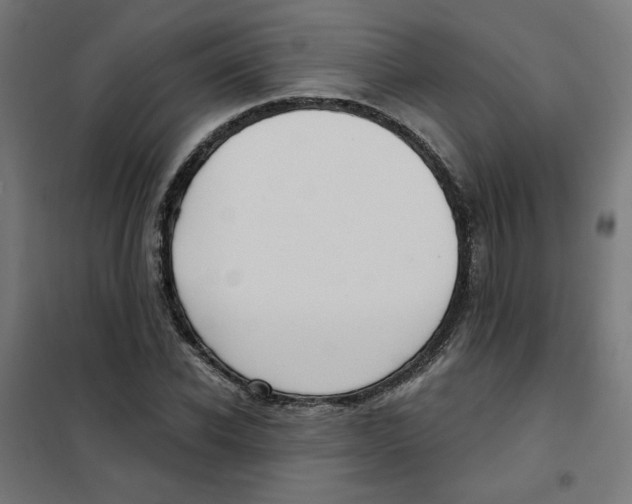 X0000101180926200807250936