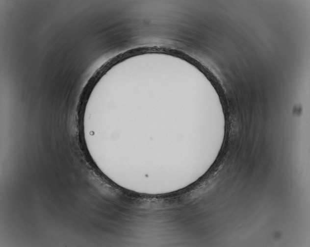 X0000101180927200807250936