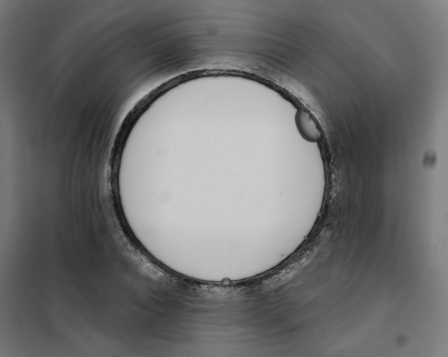 X0000101180928200807250936