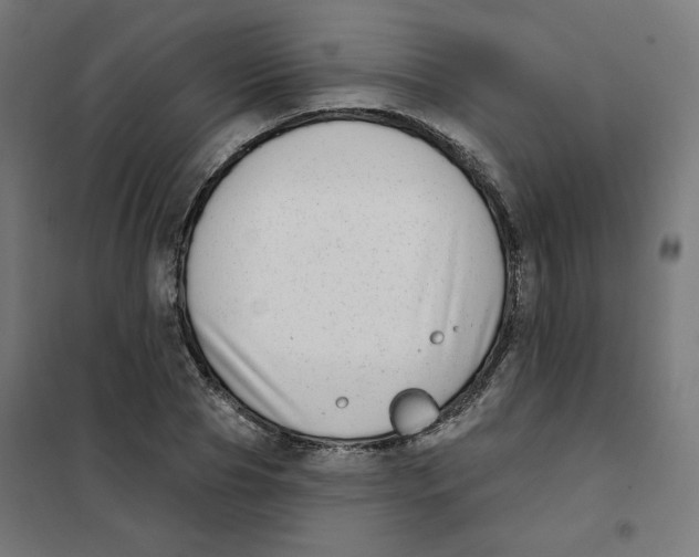 X0000101180929200807250936