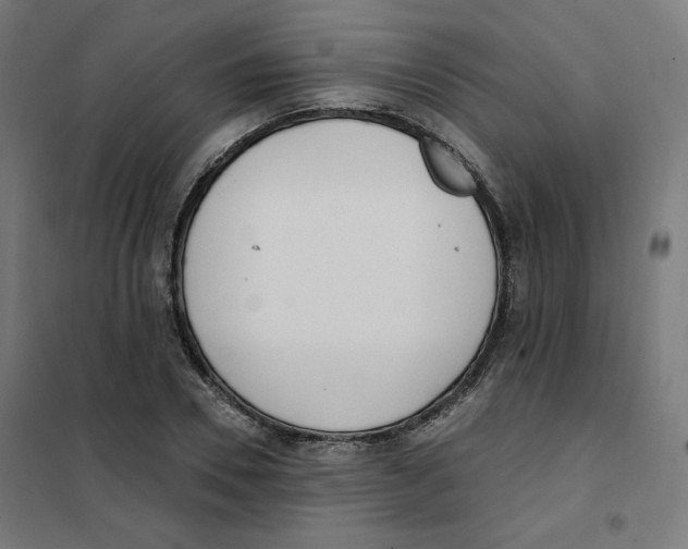 X0000101180930200807250936