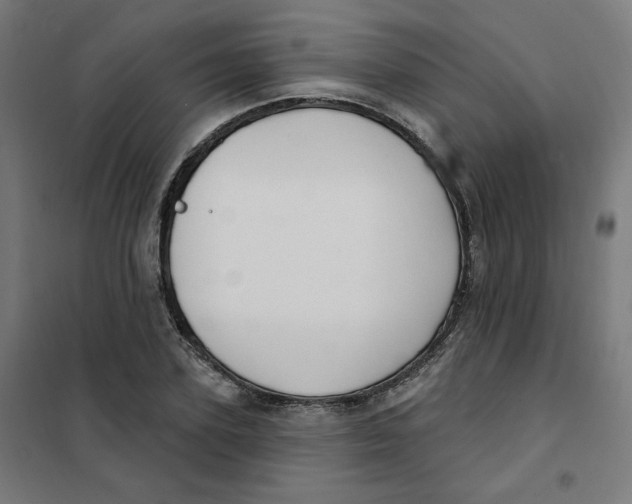 X0000101180931200807250936