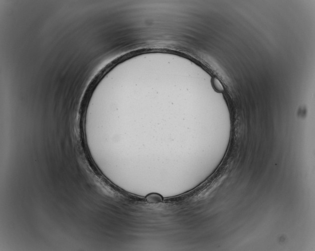 X0000101180932200807250936