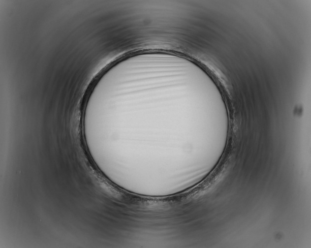 X0000101180933200807250936