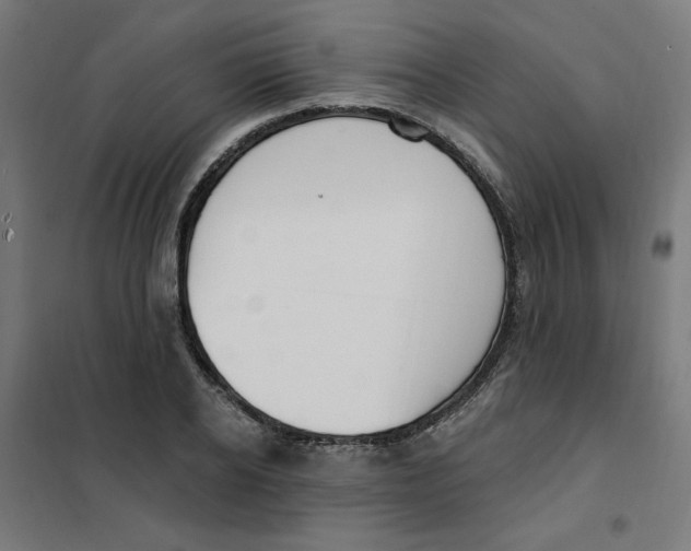 X0000101180934200807250936