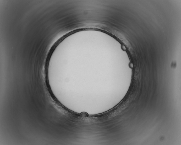 X0000101180936200807250936