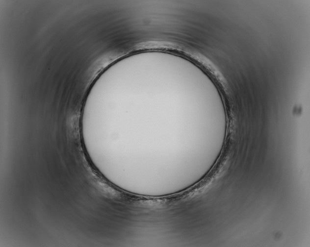 X0000101180937200807250936