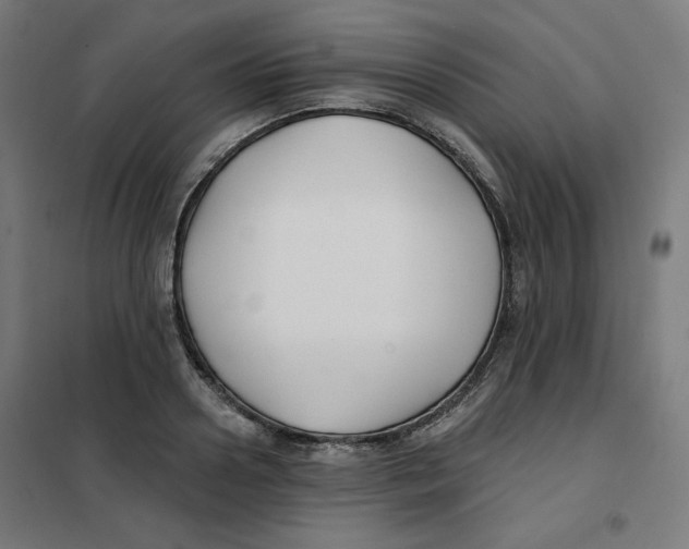 X0000101180938200807250936