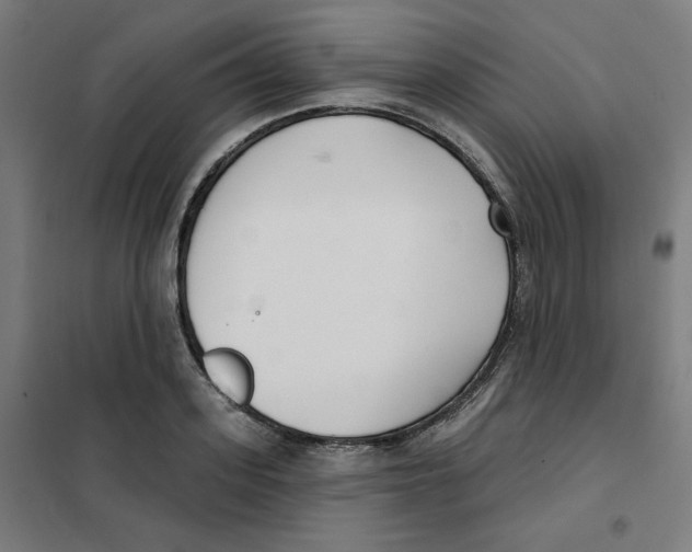 X0000101180939200807250936