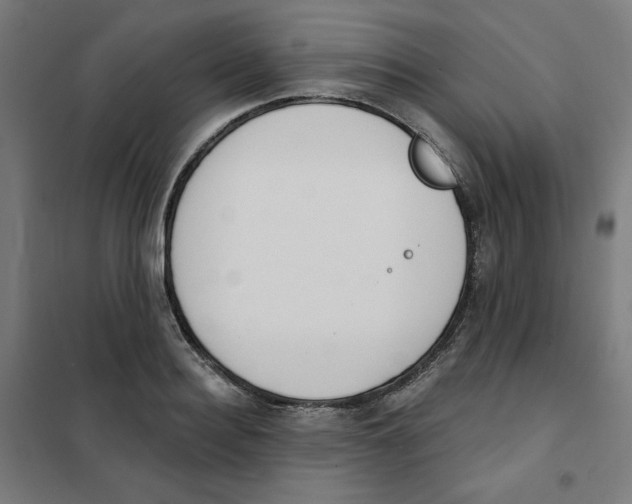 X0000101180940200807250936