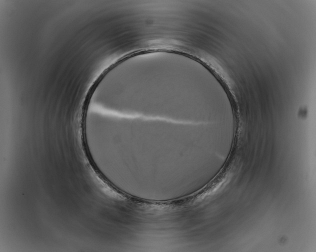 X0000101180941200807250936