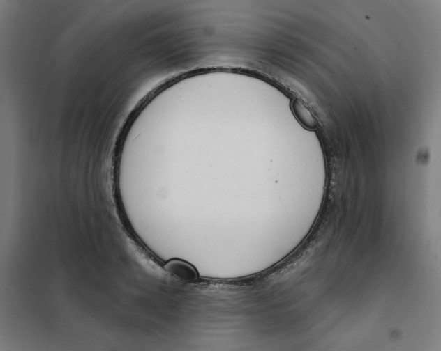 X0000101180942200807250936