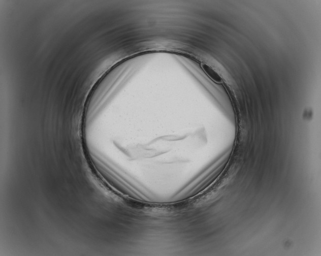 X0000101180946200807250936