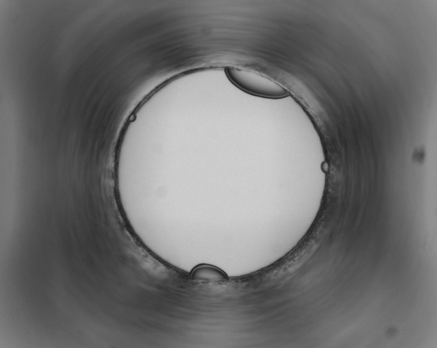 X0000101180948200807250936