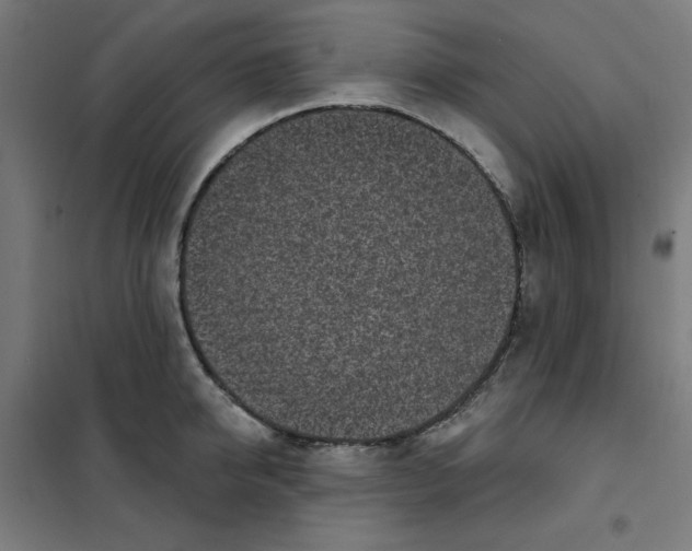 X0000101180950200807250936