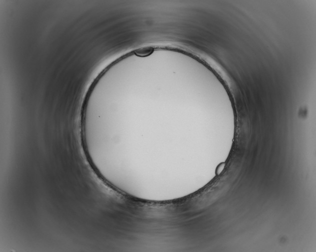 X0000101180951200807250936