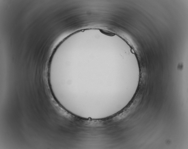 X0000101180952200807250936