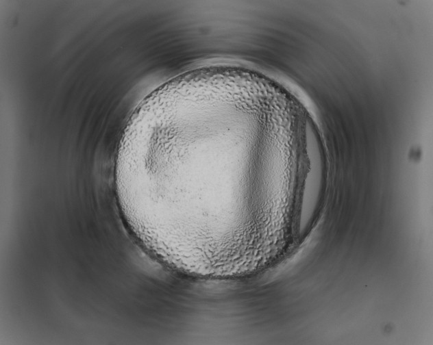 X0000101180953200807250936