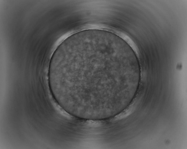 X0000101180954200807250936