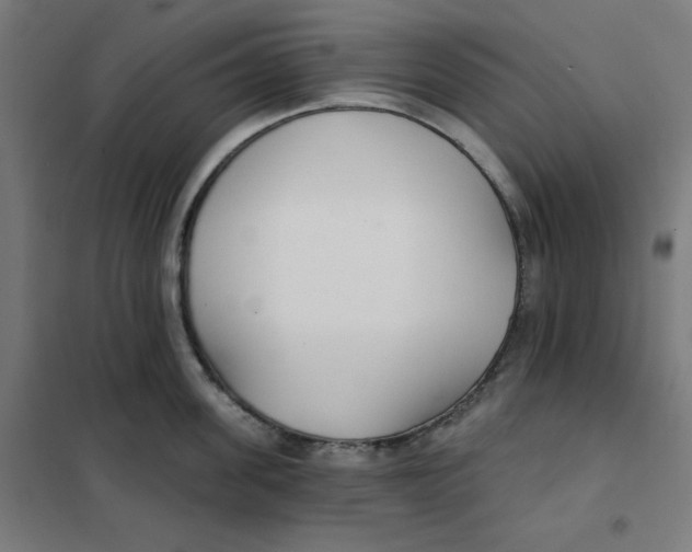 X0000101180955200807250936