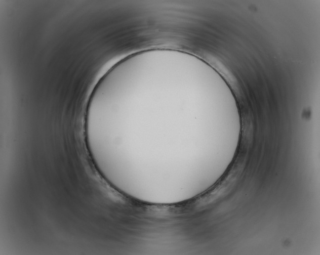 X0000101180956200807250936