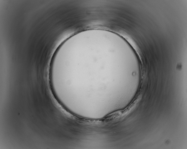 X0000101180957200807250936