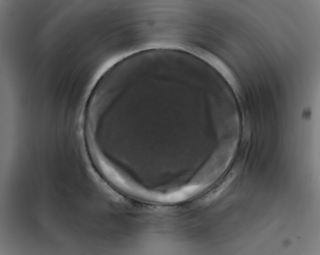 X0000101180958200807250936