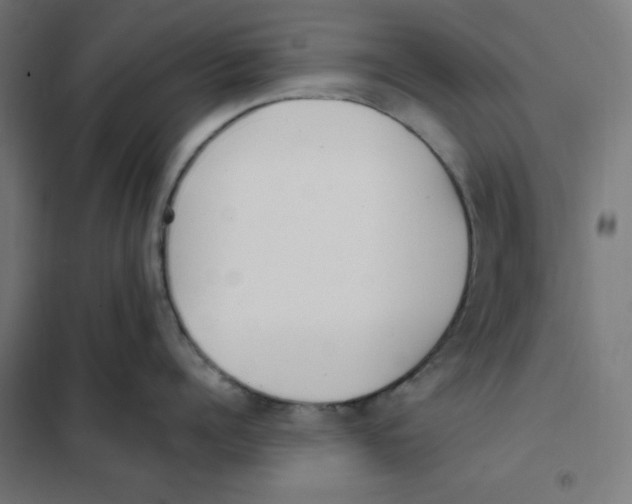 X0000101180960200807250937