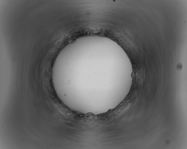 X0000101180961200807250936