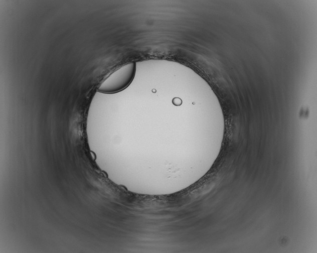 X0000101180962200807250936