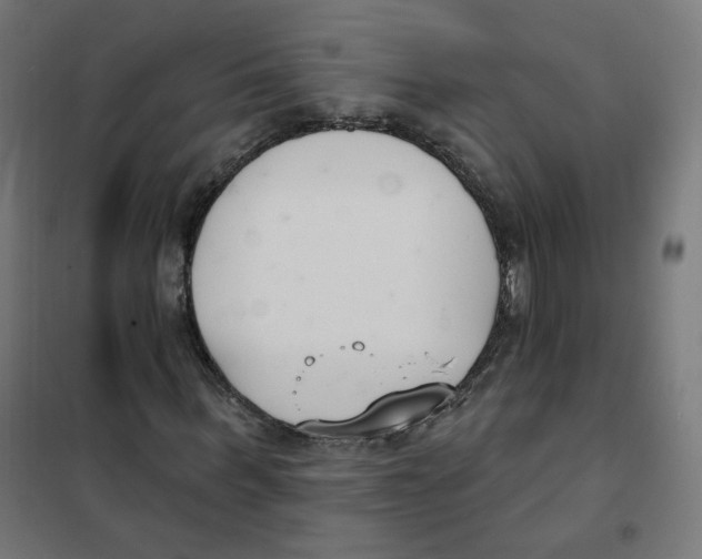 X0000101180963200807250936