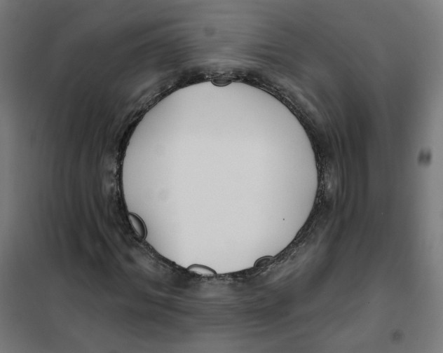 X0000101180964200807250936