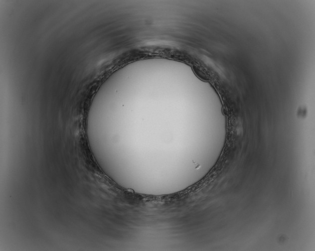 X0000101180965200807250936