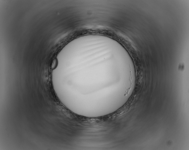 X0000101180966200807250936