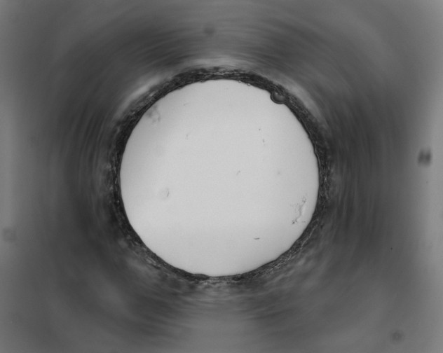 X0000101180967200807250936