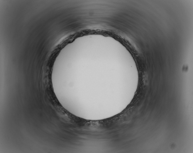 X0000101180968200807250936