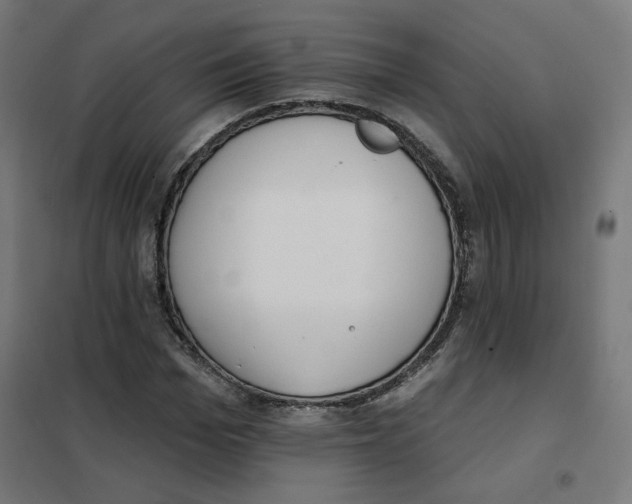 X0000101180969200807250936