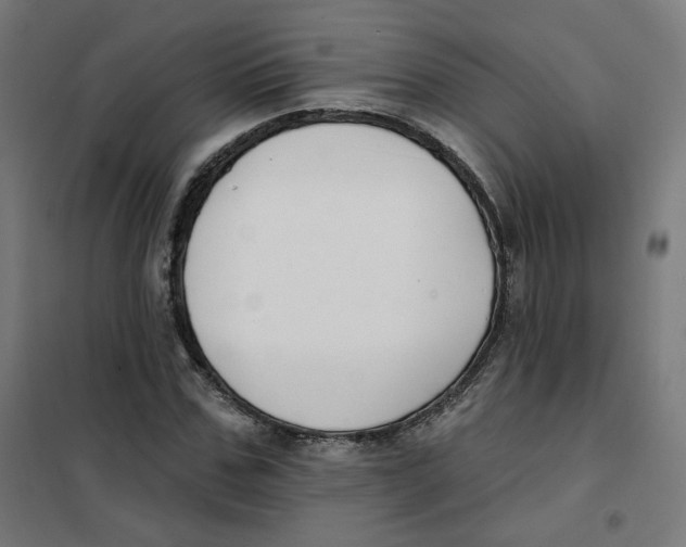 X0000101180971200807250936