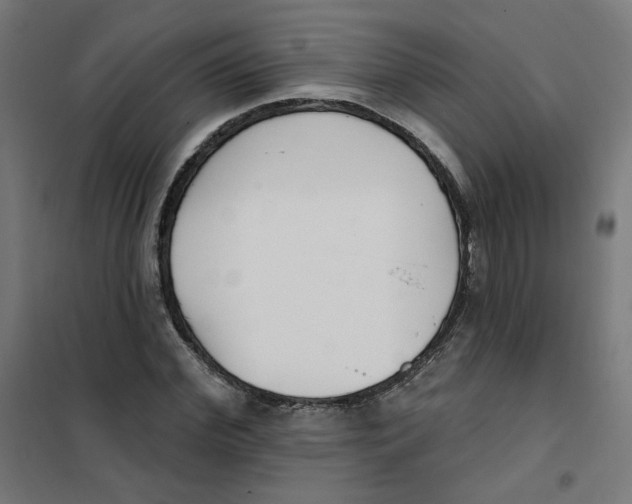 X0000101180972200807250936