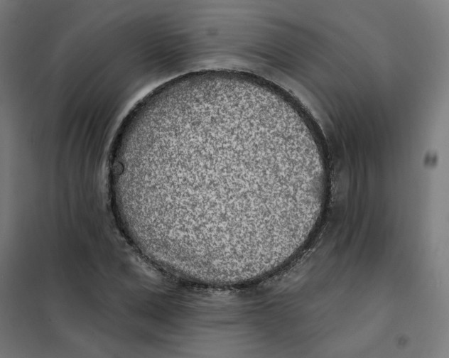 X0000101180975200807250936