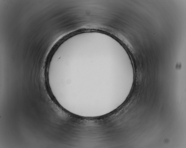 X0000101180976200807250936